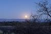 2015 March Moonrise from the American Ranch Road