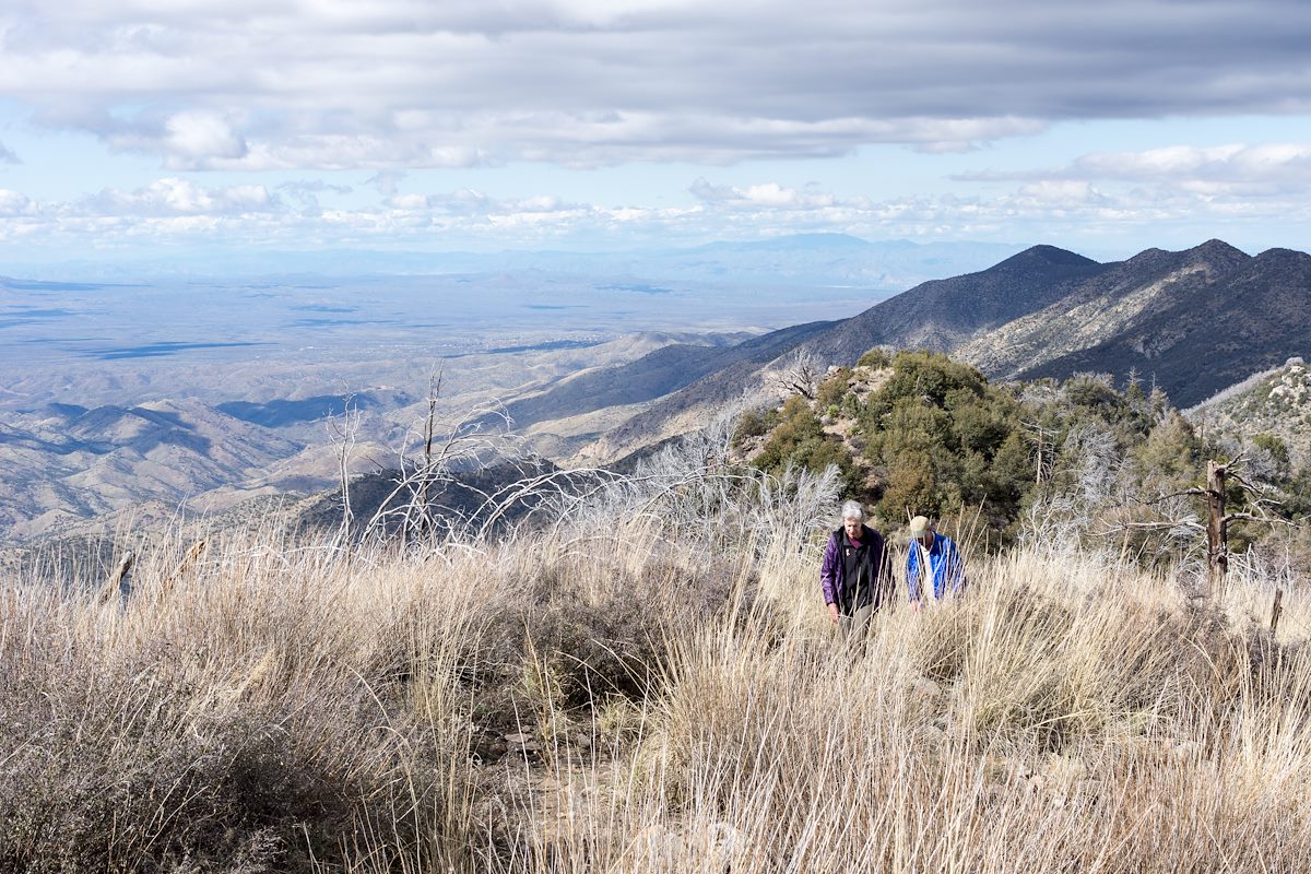 2015 March Oracle Ridge Trail