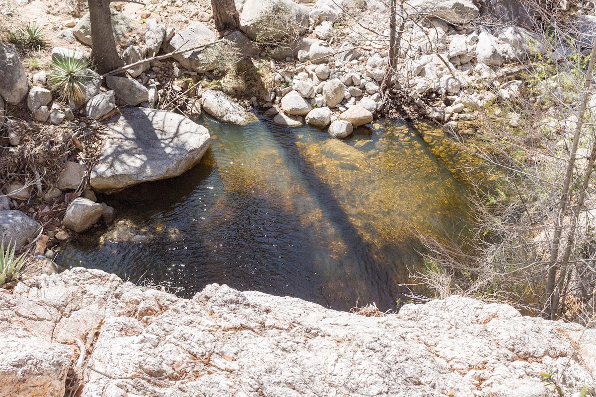 2015 March Pool Below the Upper Camp