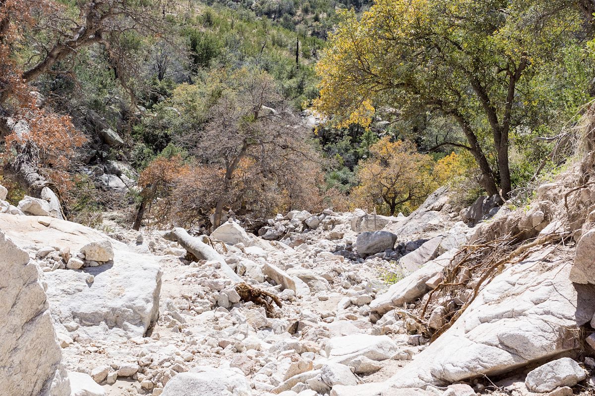 2015 March Scoured Canyon