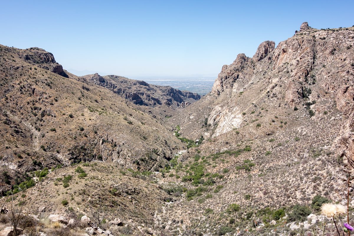 2015 May Bear Canyon and the Bear Canyon Trail