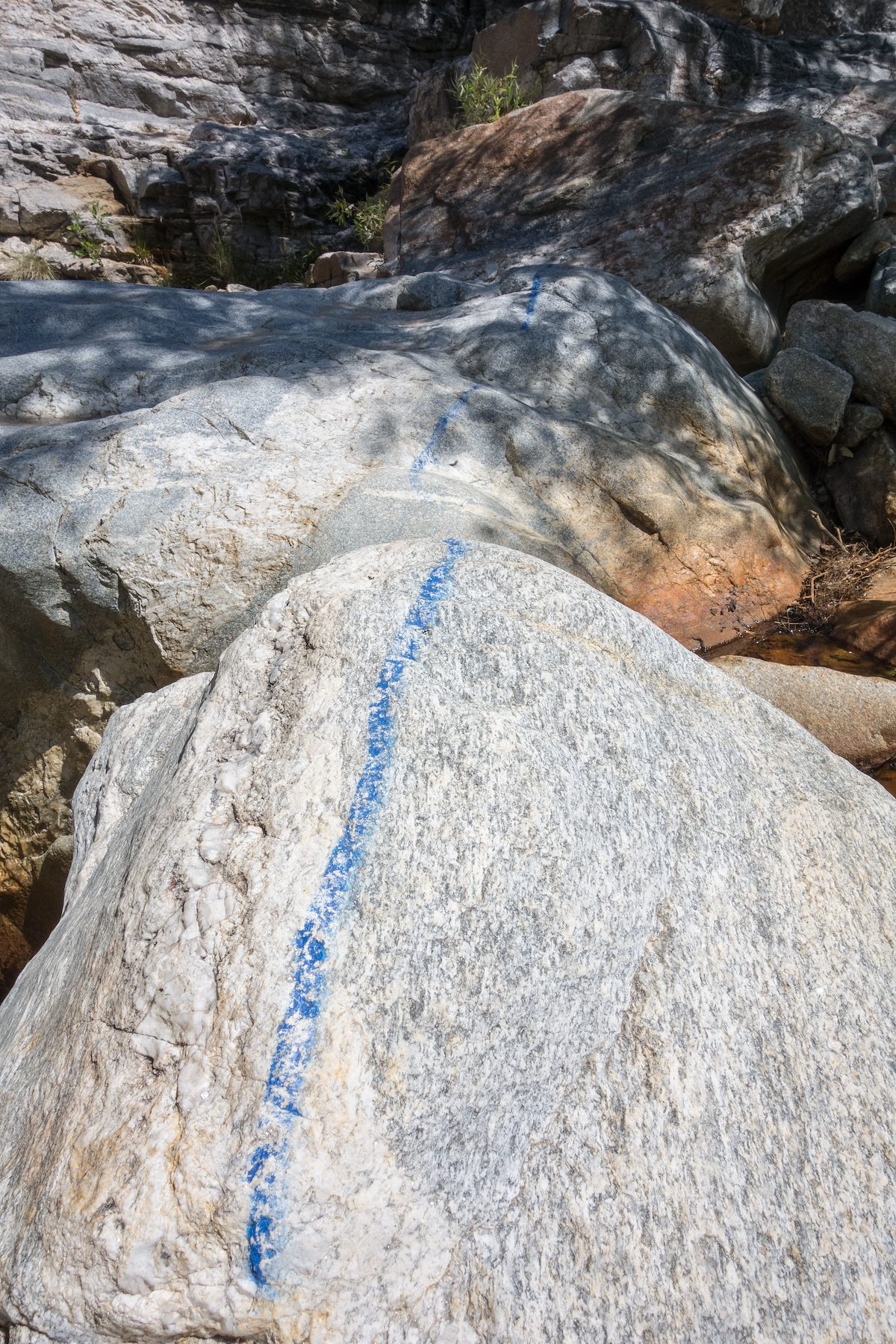 2015 May The Blue Line