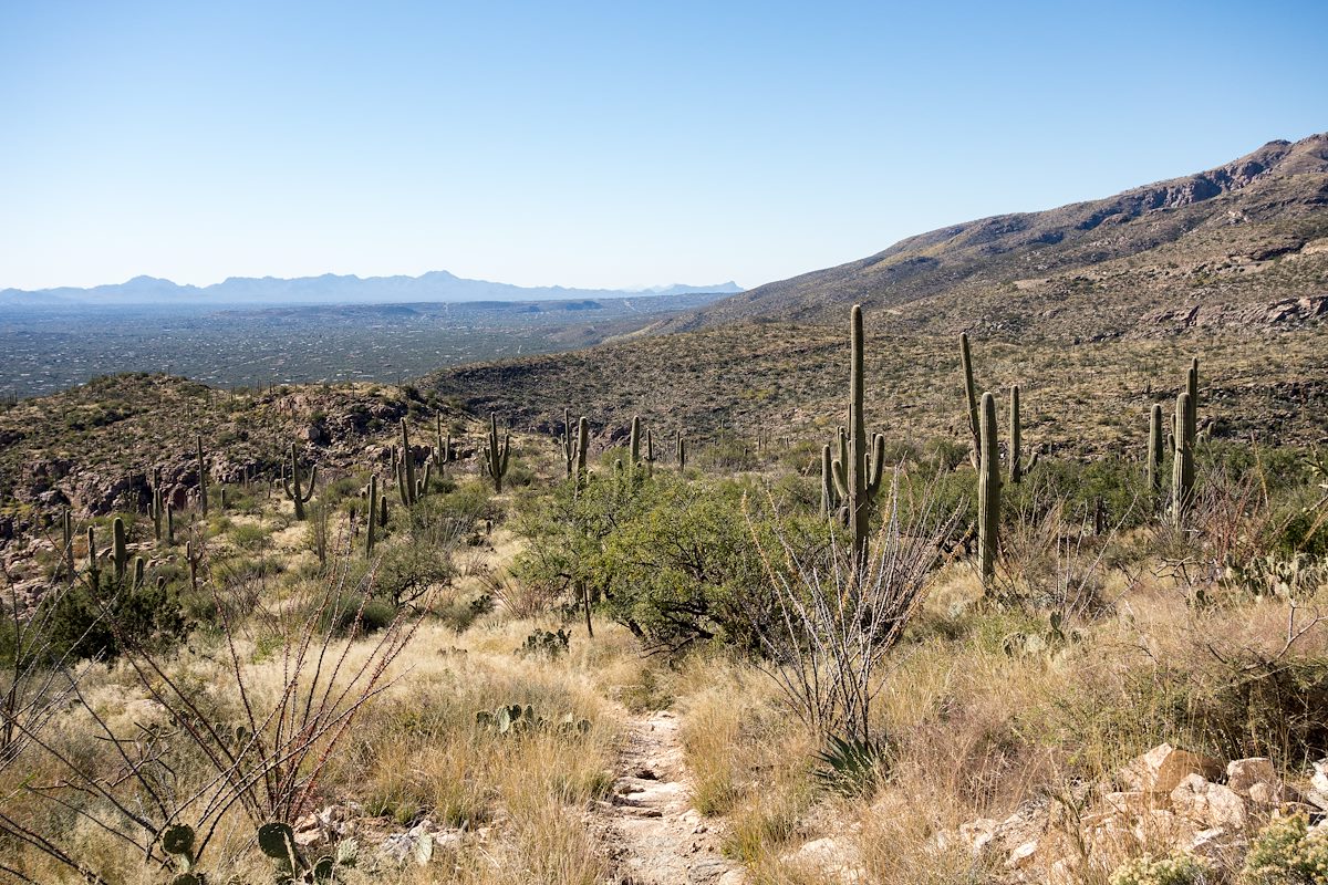 2015 November Looking down the La Milagrosa Trail with the Tucson Mountains in the Distance