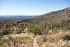 2015 November Looking down the La Milagrosa Trail with the Tucson Mountains in the Distance