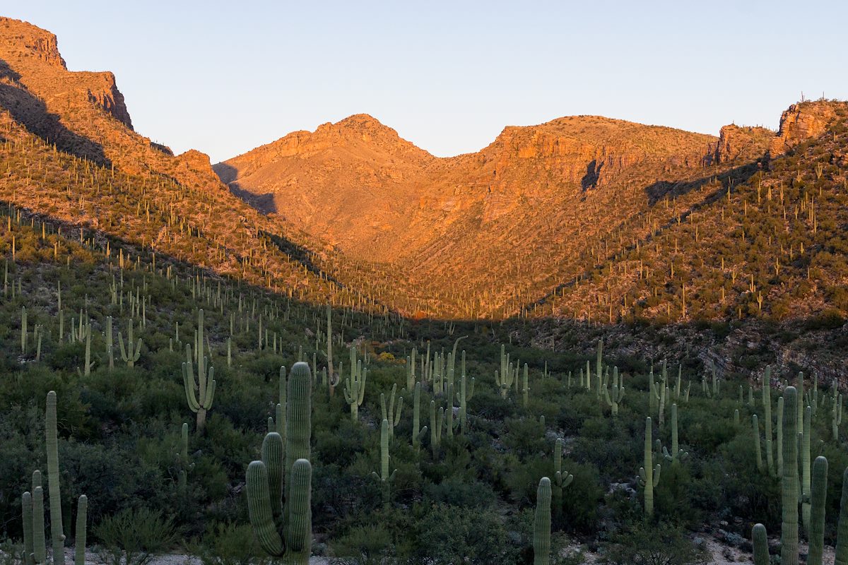 2015 November Looking up Bear Canyon at Sunset