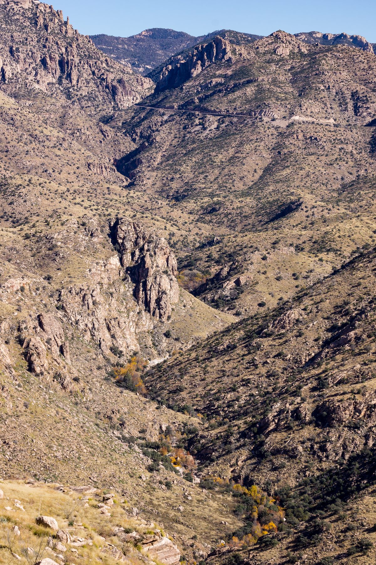 2015 November Looking up Bear Canyon from below Thimble Peak