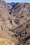 2015 November Looking up Bear Canyon from below Thimble Peak