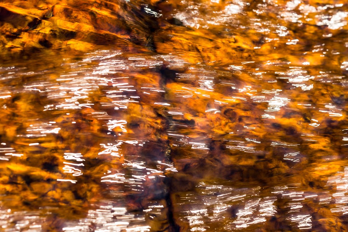 2015 November Water and Light in Bear Canyon