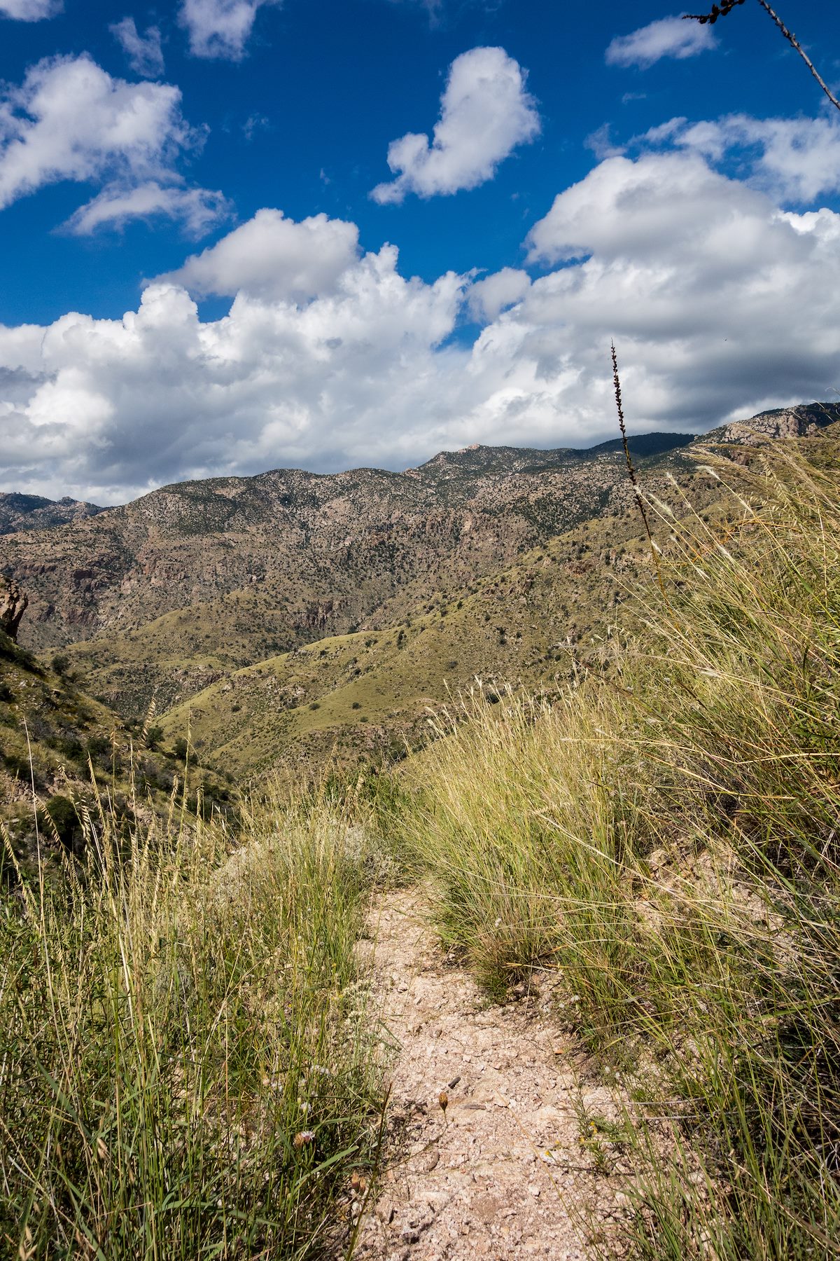2015 October At East End of the East Fork Trail