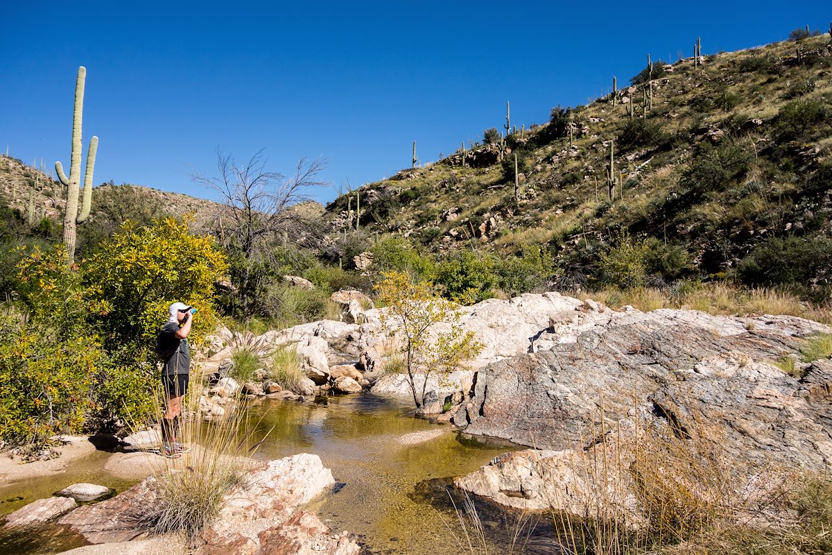 2015 October Beautiful Water in Agua Caliente Canyon