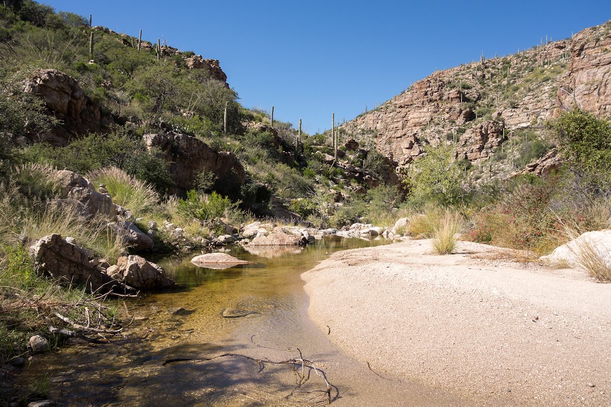 2015 October Flowing water at the Agua Caliente Canyon Trail Crossing on FR4445