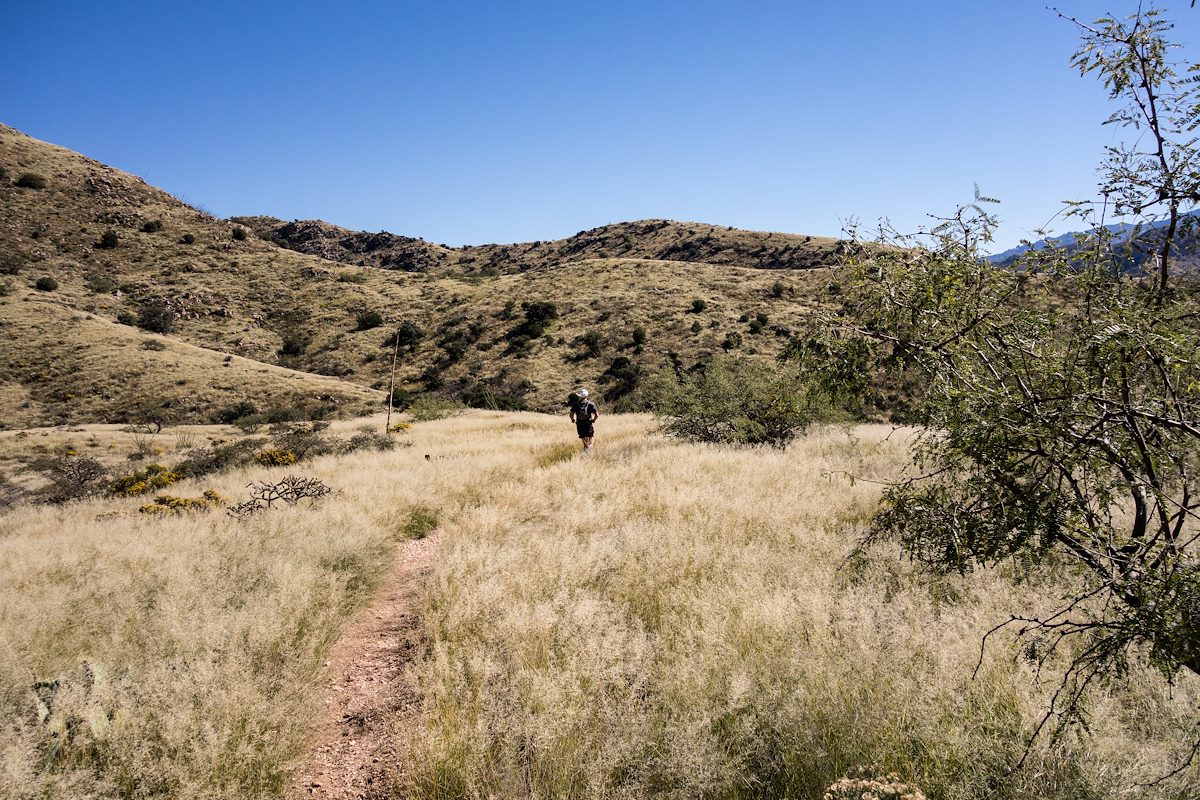 2015 October In the grass on the Bellota Trail