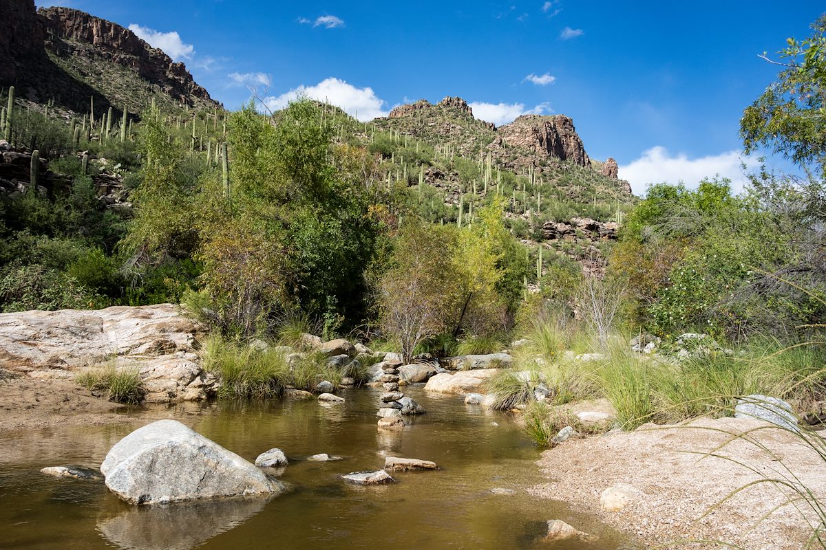 2015 October In the Sun in Bear Canyon
