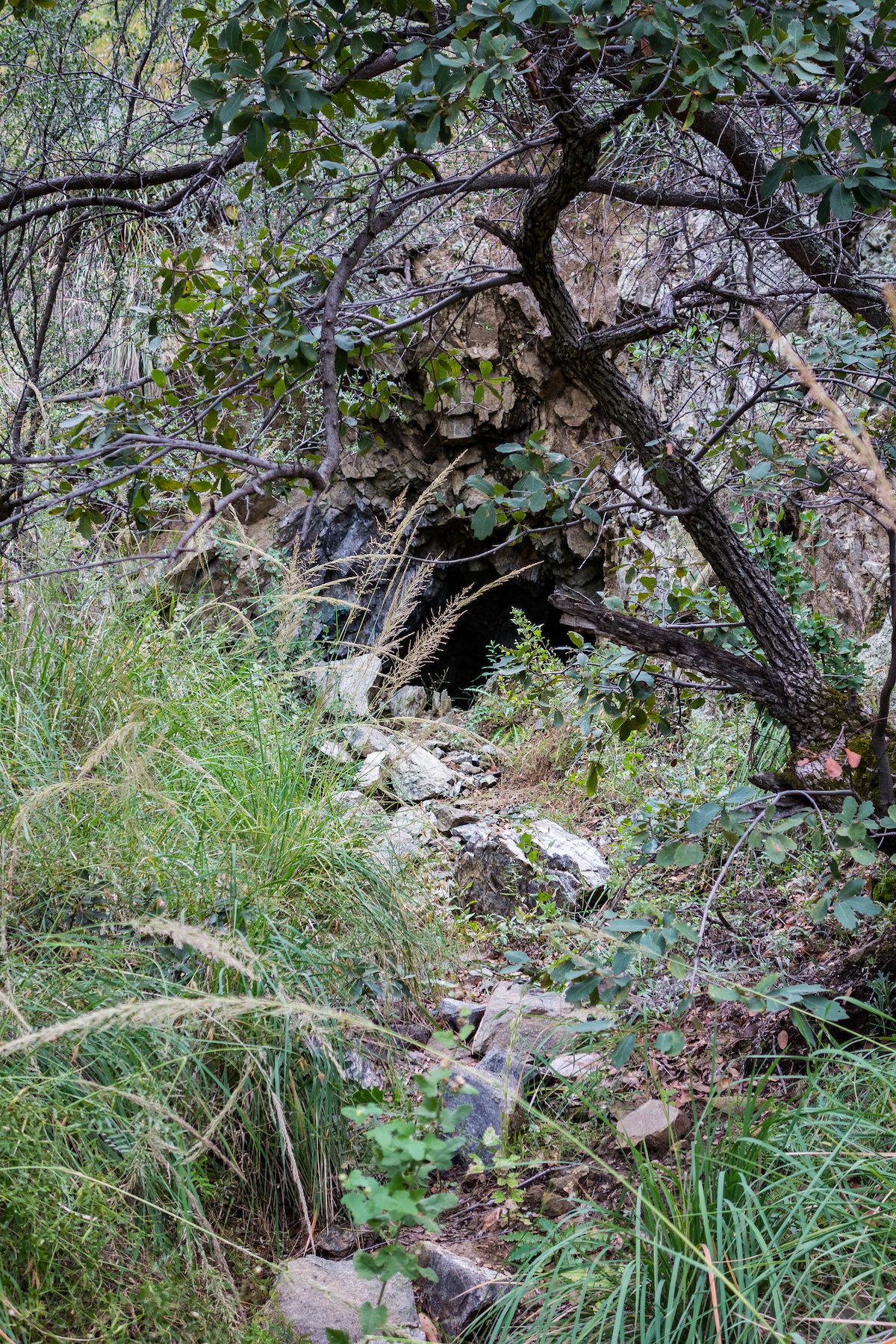 2015 October Mine near the Catalina Camp Trail
