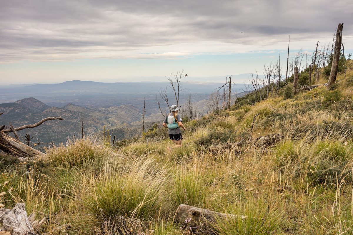 2015 October Running Down the Oracle Ridge Trail