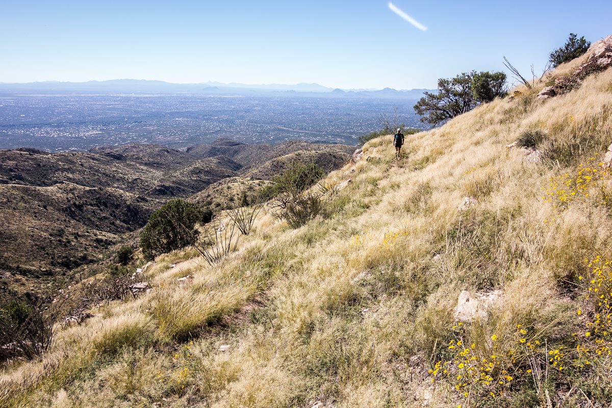 2015 October Under False Hope Hill on the Agua Caliente Canyon Trail