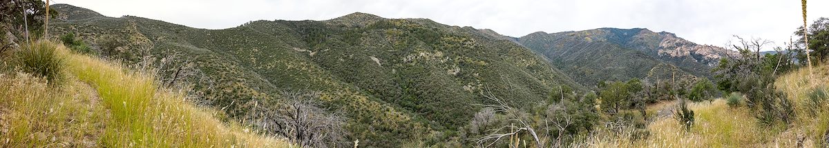 2015 October View from the Catalina Camp Trail