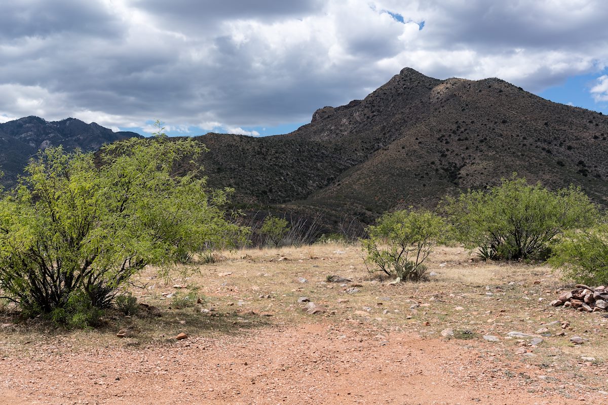 2016 April At the Davis Spring Trailhead looking up at Point 5810