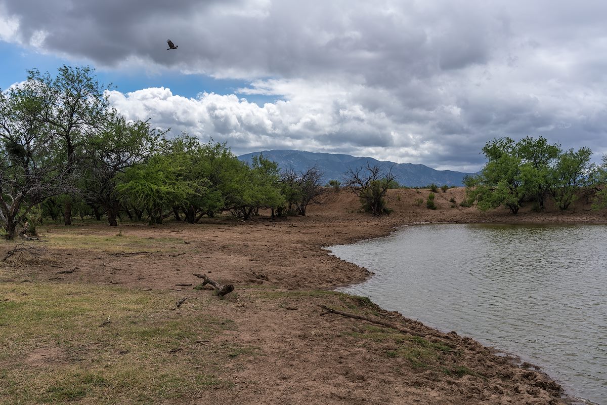 2016 April Double Tank near Oracle Junction