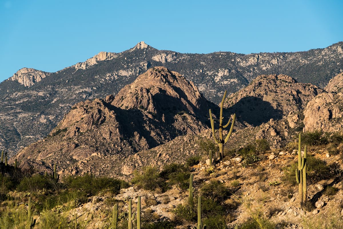 2016 April Golder Dome and Samaniego Peak from Alamo Canyon