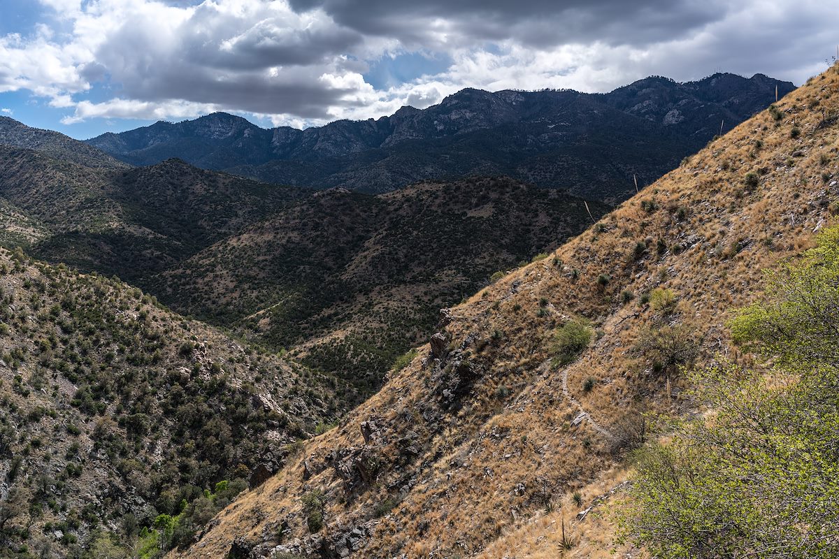 2016 April Looking up the Mountain from the Davis Spring Trail