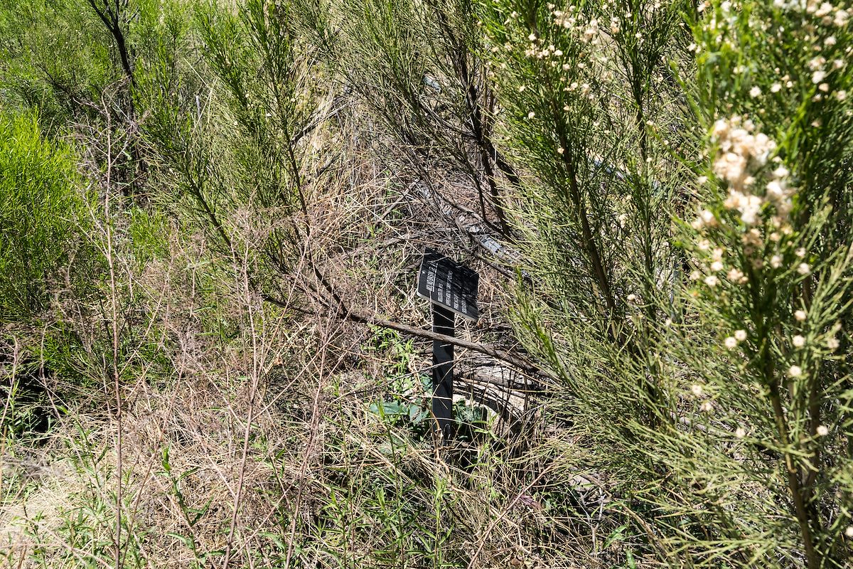 2016 April Molino Basin Trail Sign at the Molino Basin Parking Area