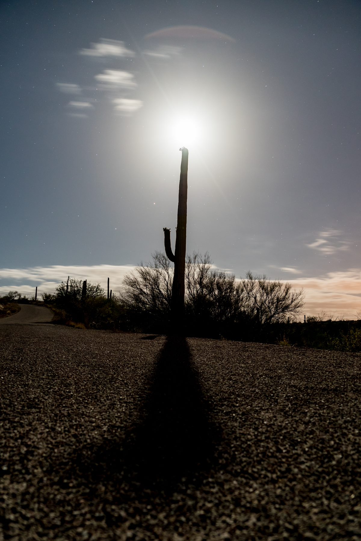 2016 April Moon Saguaro Shadow Road 01