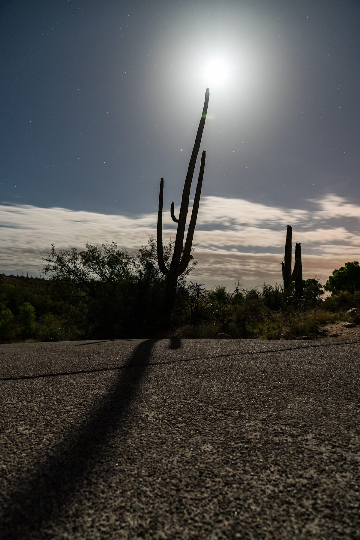2016 April Moon Saguaro Shadow Road 02