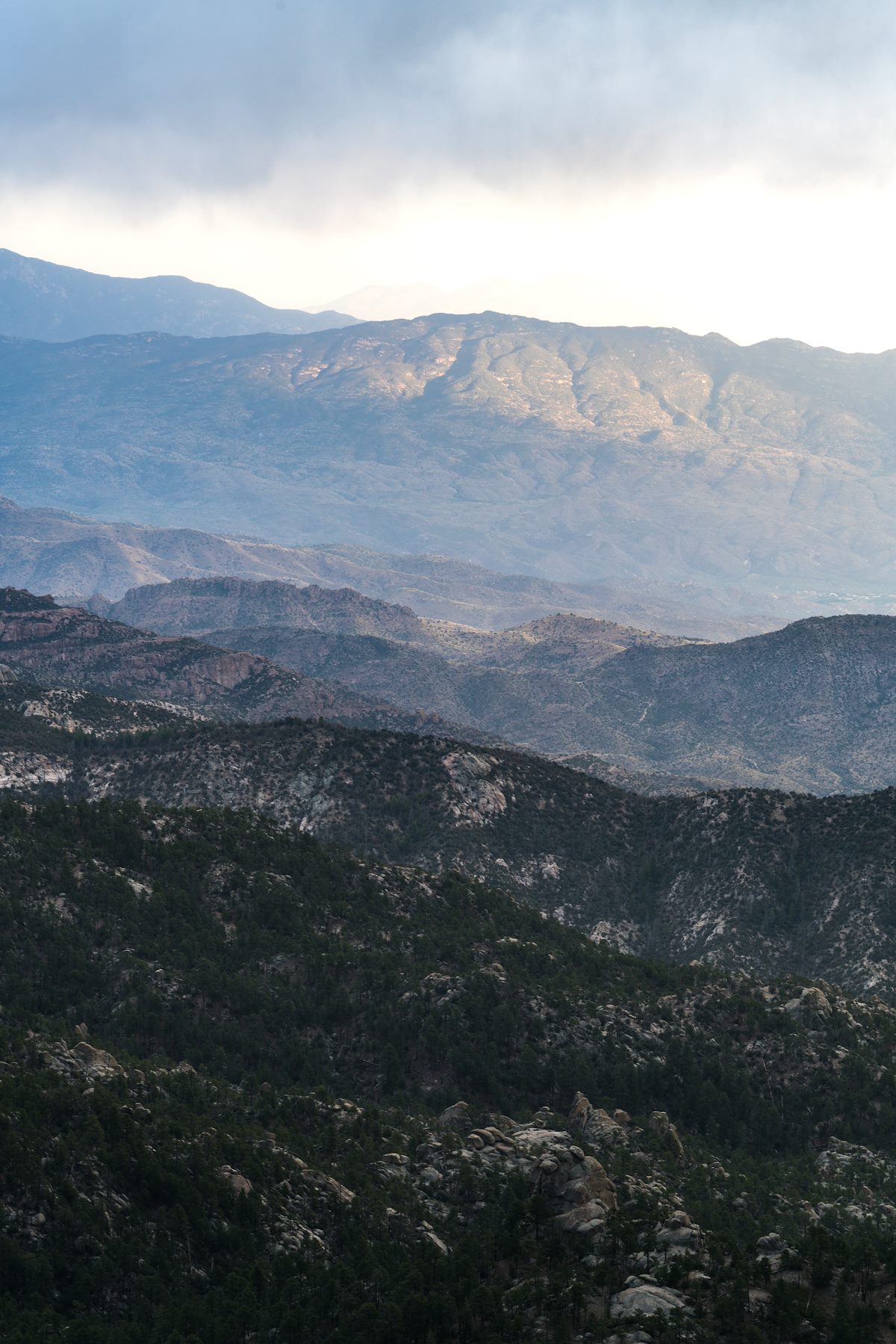 2016 April Sunlight on the Rincons from the Mount Lemmon Trail