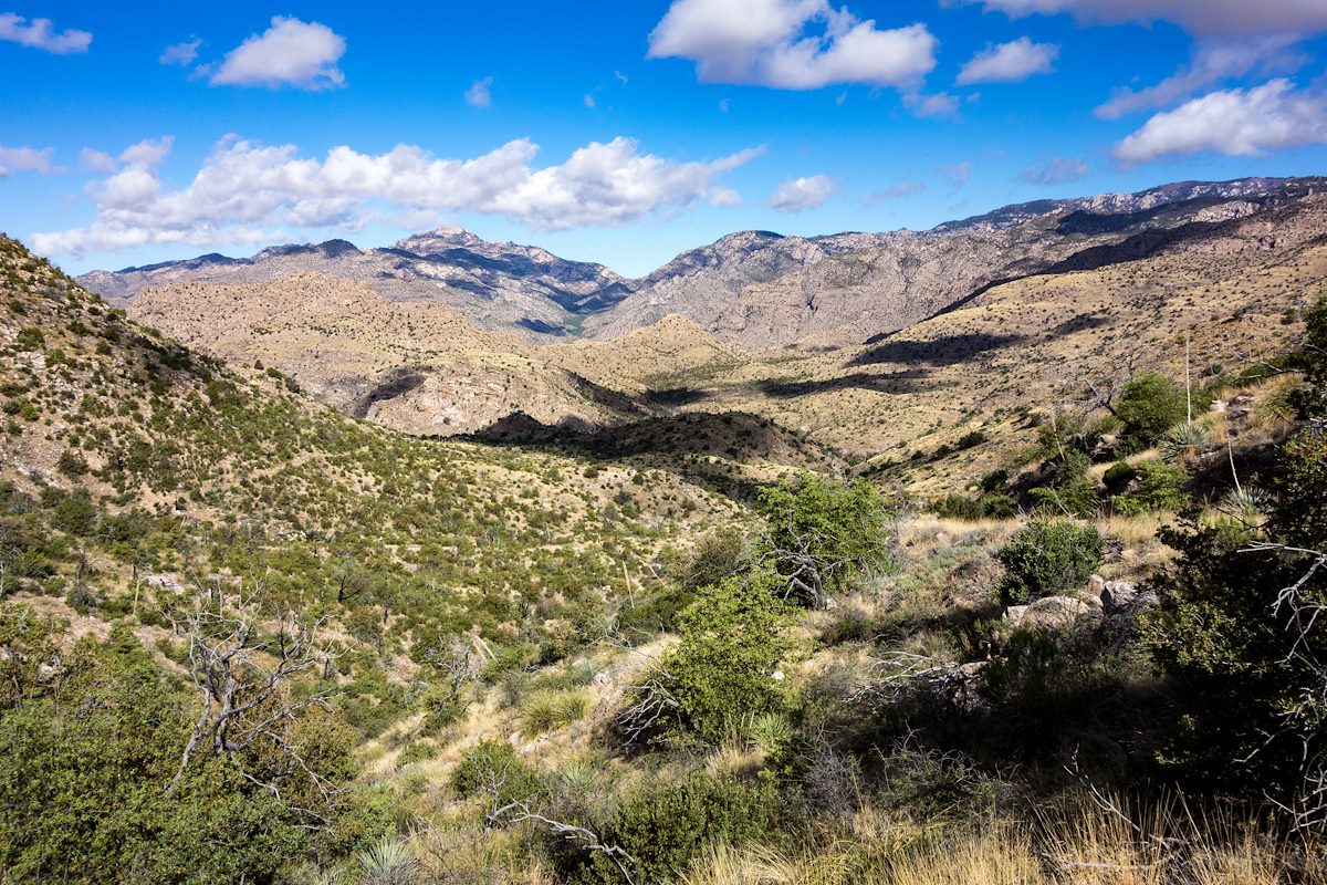 2016 April Sycamore Reservoir Area from Shreve Saddle