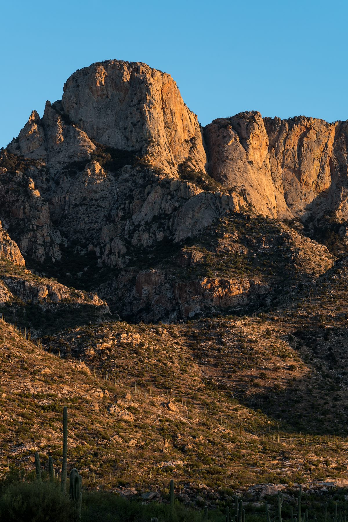 2016 April Table Mountain