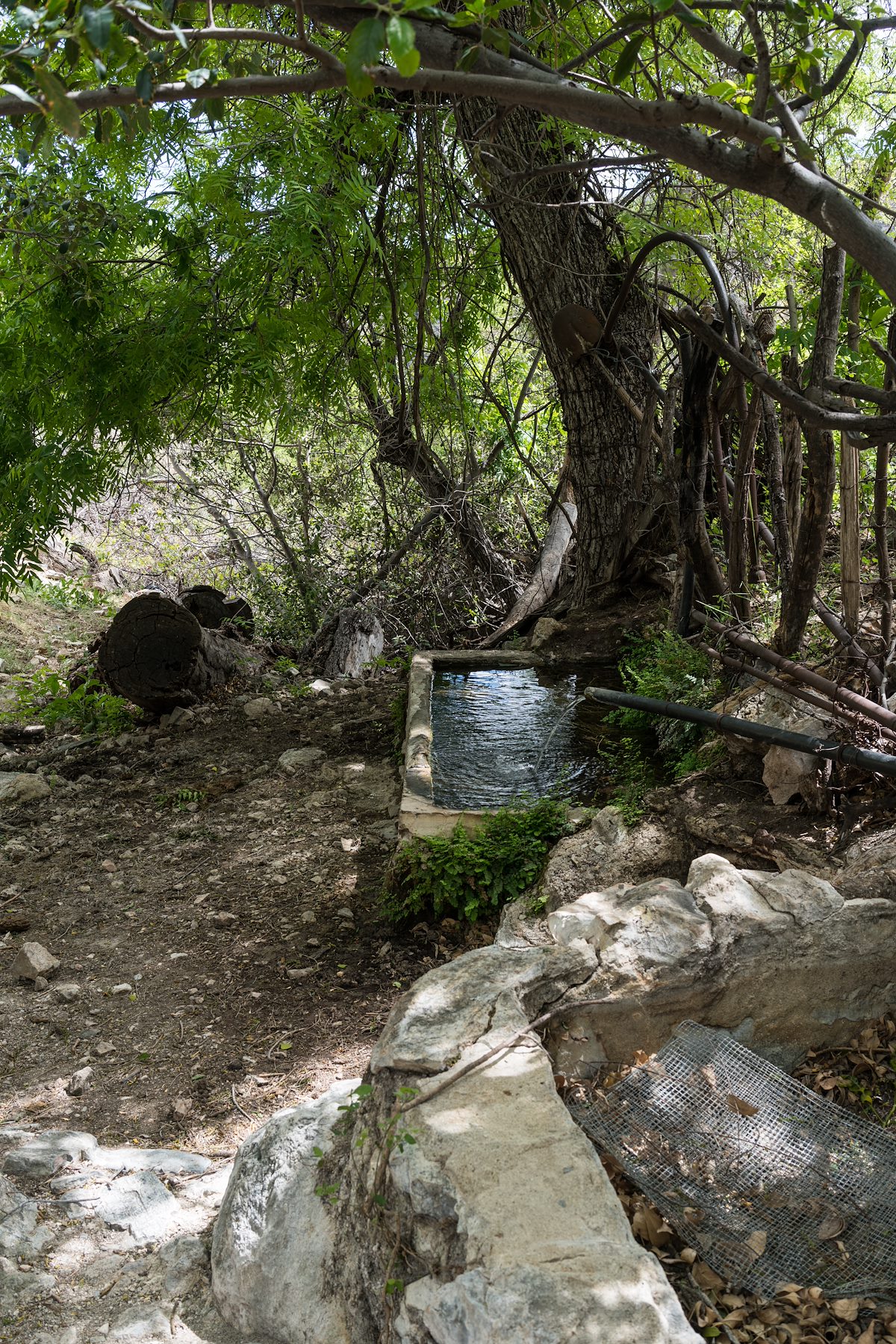 2016 April Tanks below Davis Spring