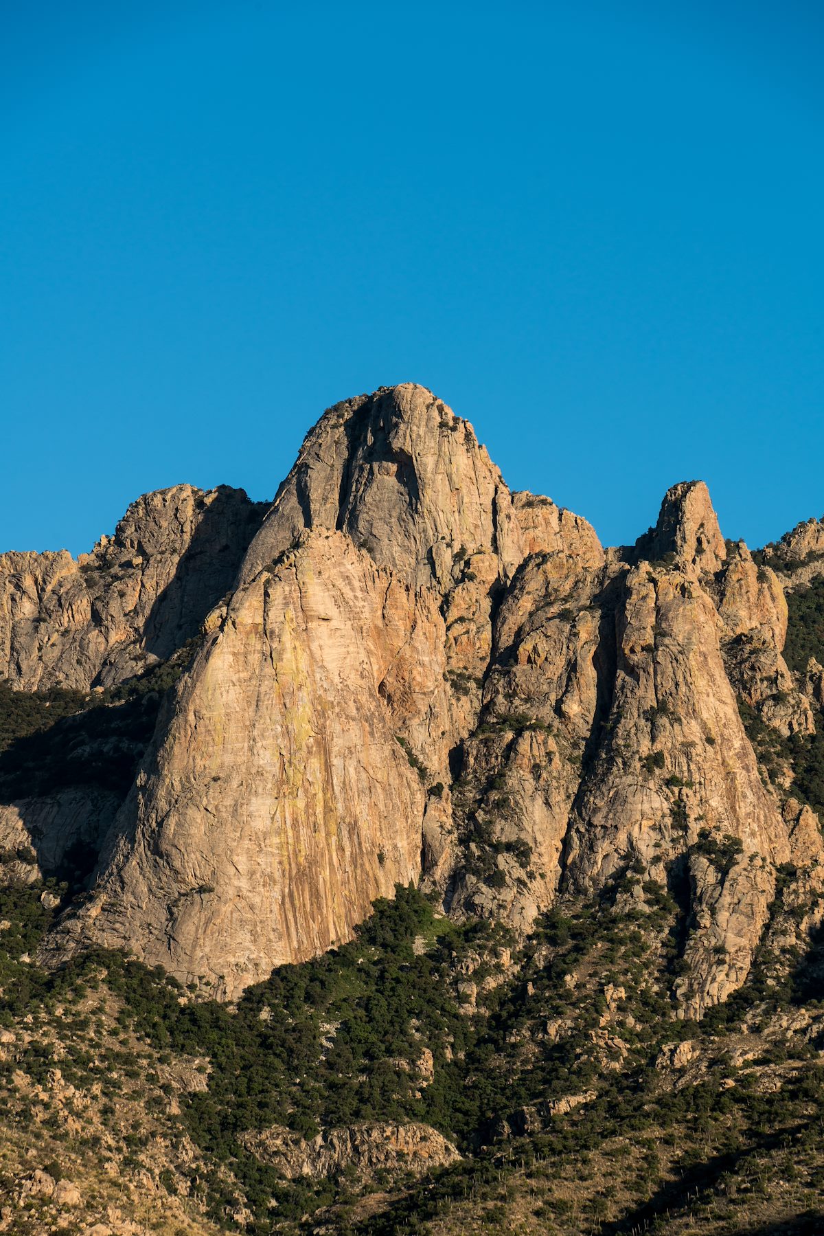 2016 April The Mighty Leviathan