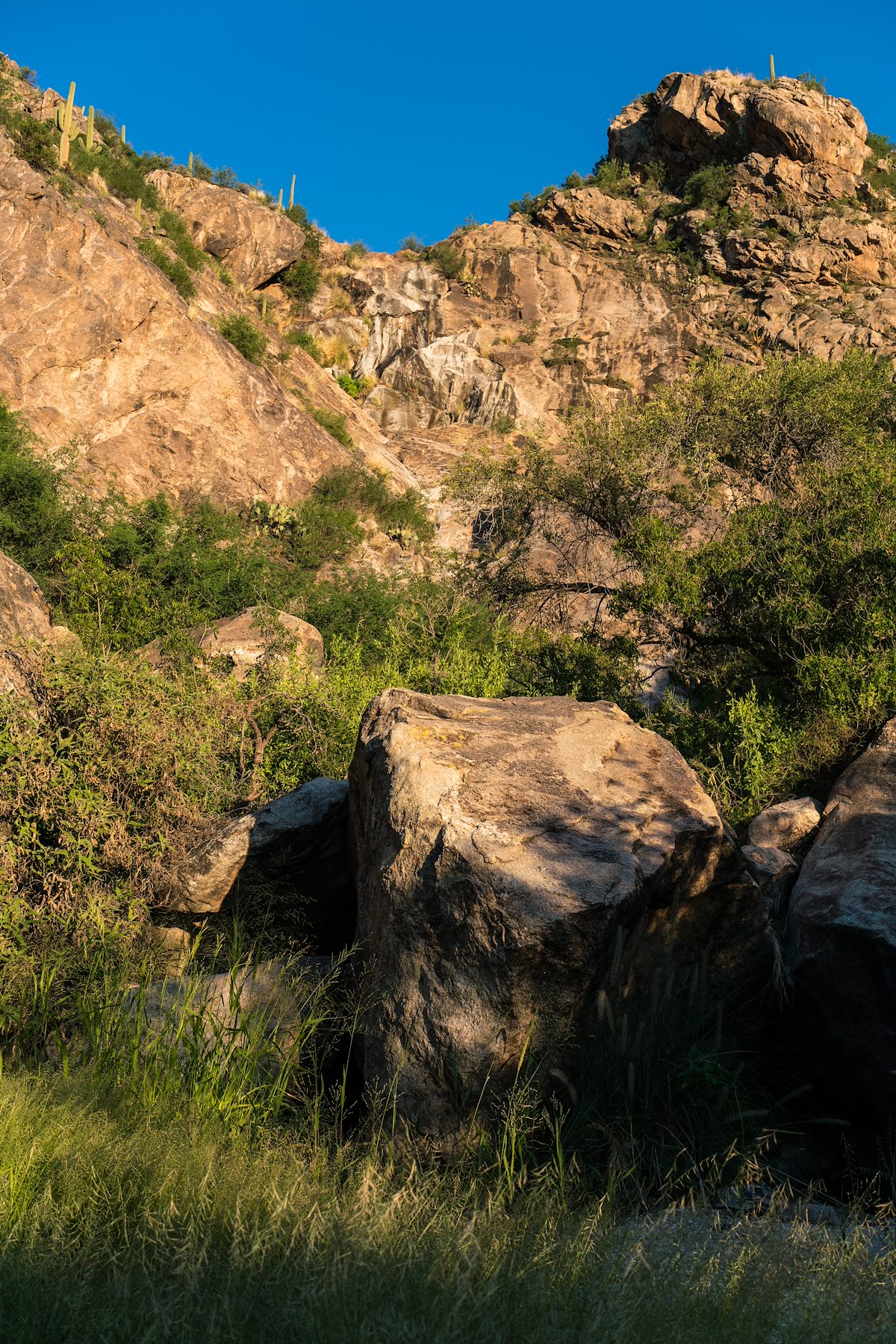 2016 August Canyon on the West Side of the Santa Catalina Mountains