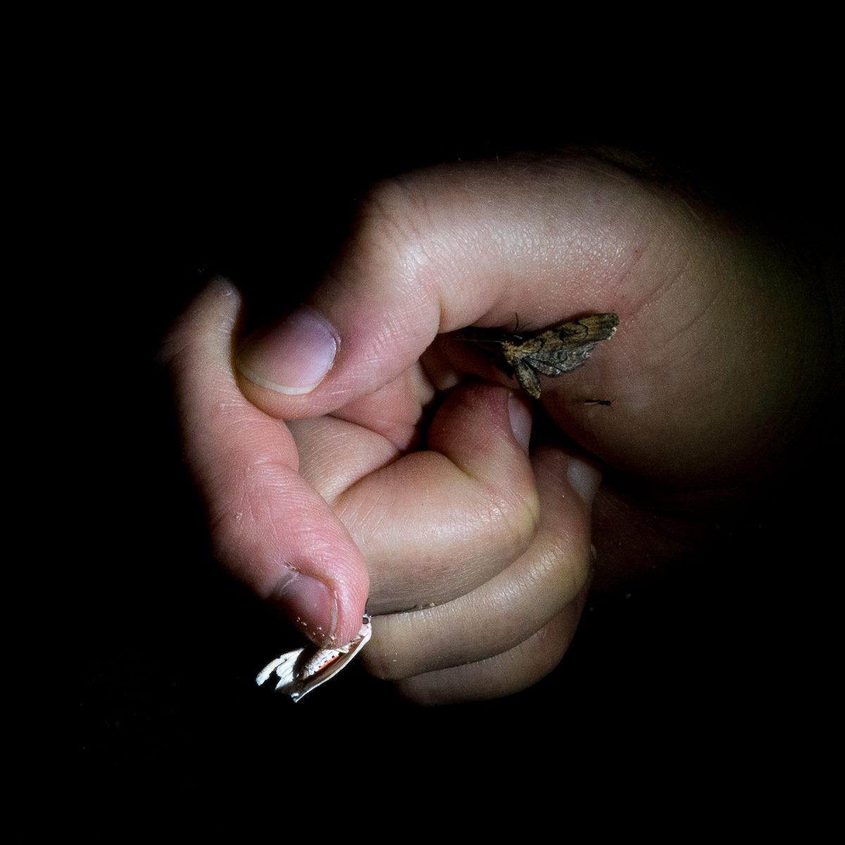 2016 August Conjuring 1