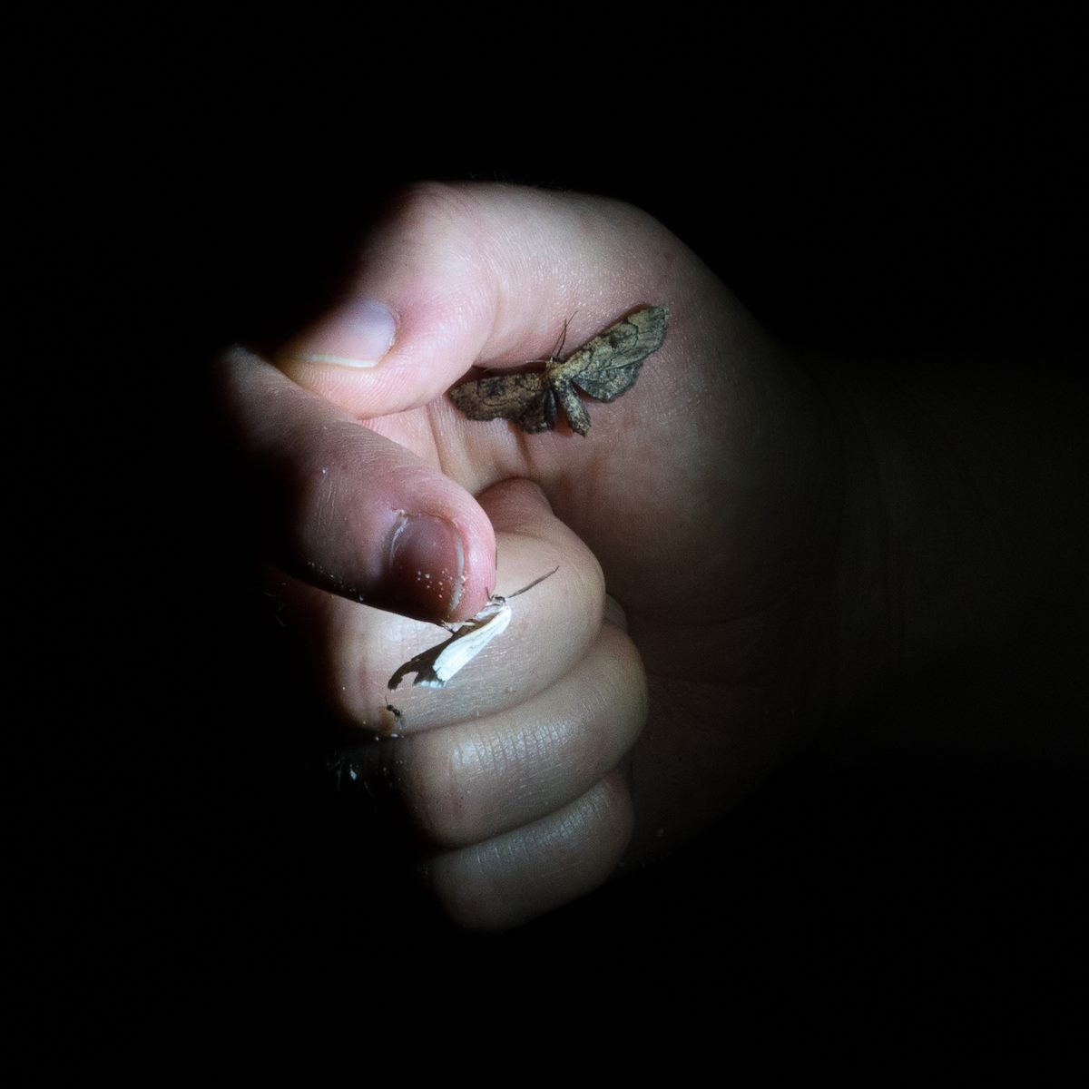 2016 August Conjuring 2