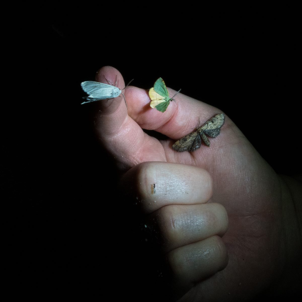 2016 August Conjuring 3