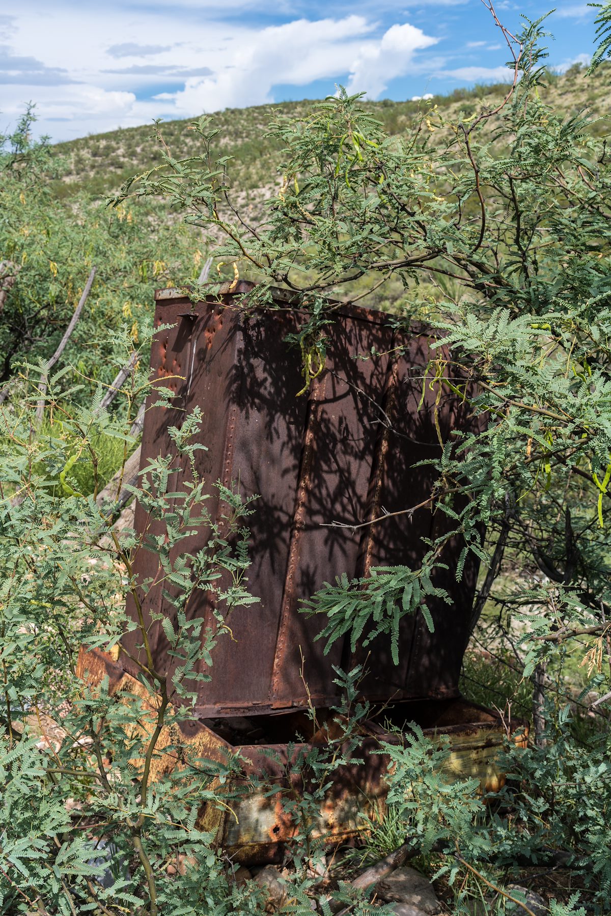 2016 August Feed Bin in Geesaman Wash at Deep Well