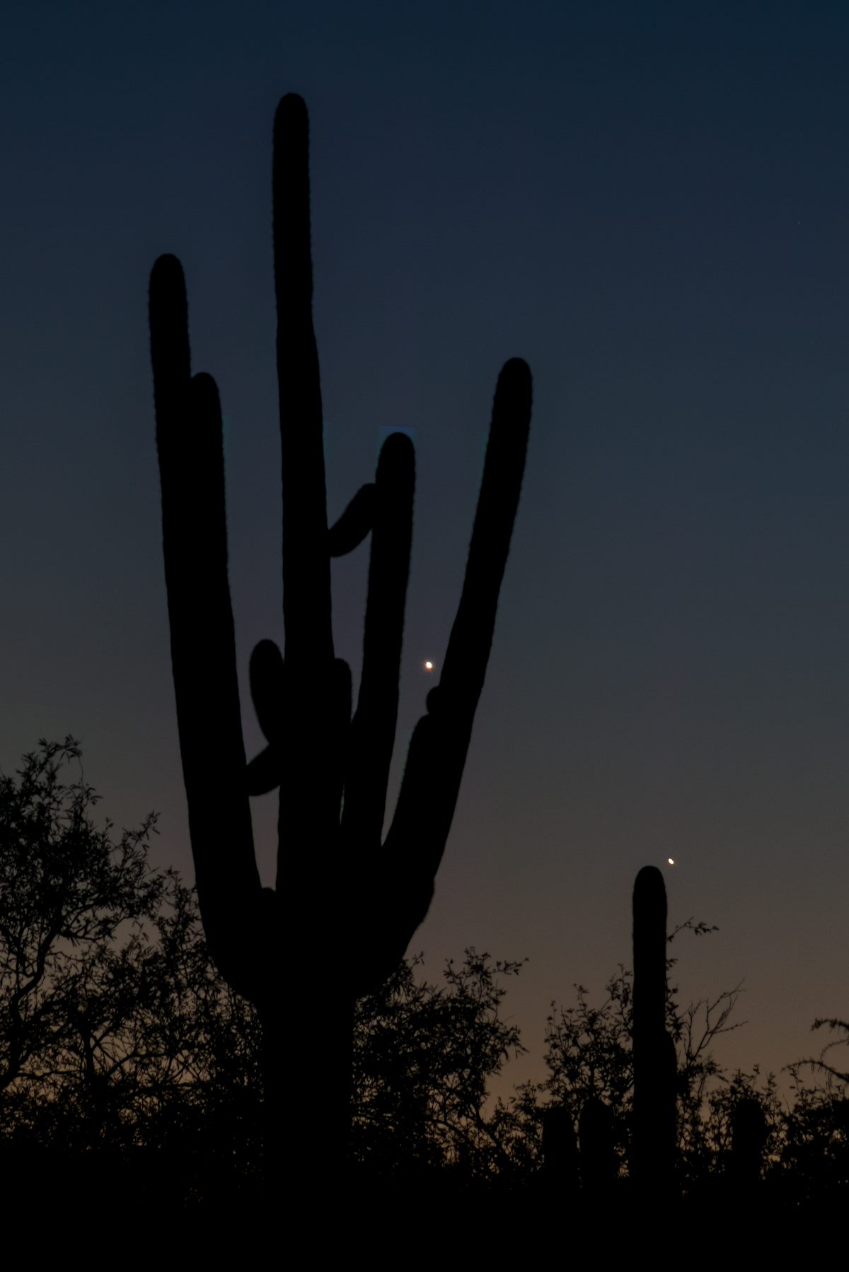 2016 August Jupiter Venus Saguaro