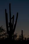 2016 August Jupiter Venus Saguaro