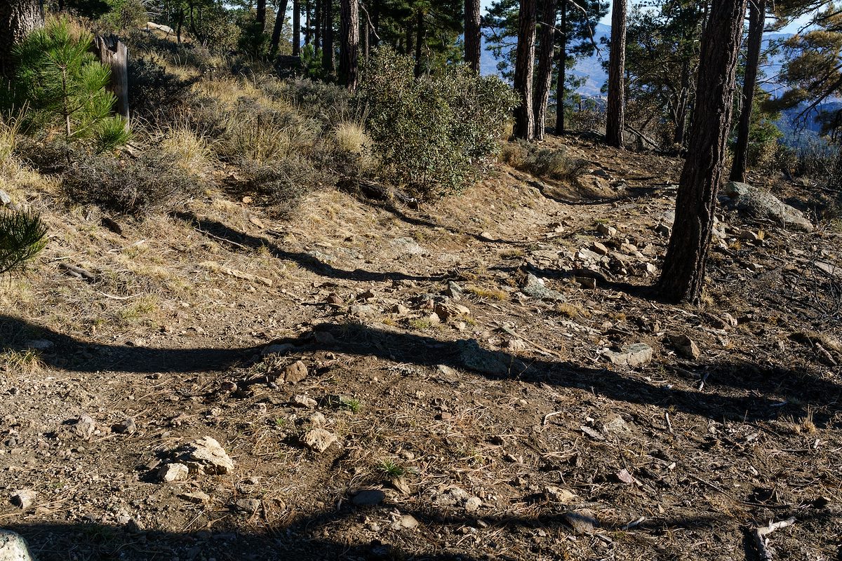 2016 December Fire Line