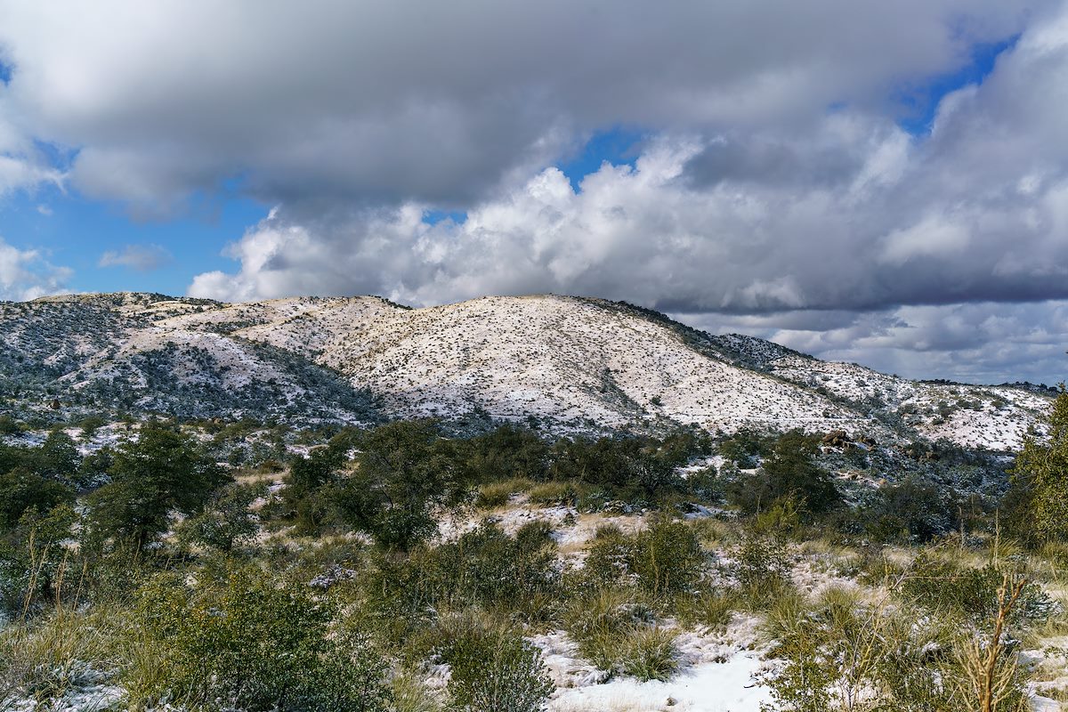 2016 December Oracle Hill