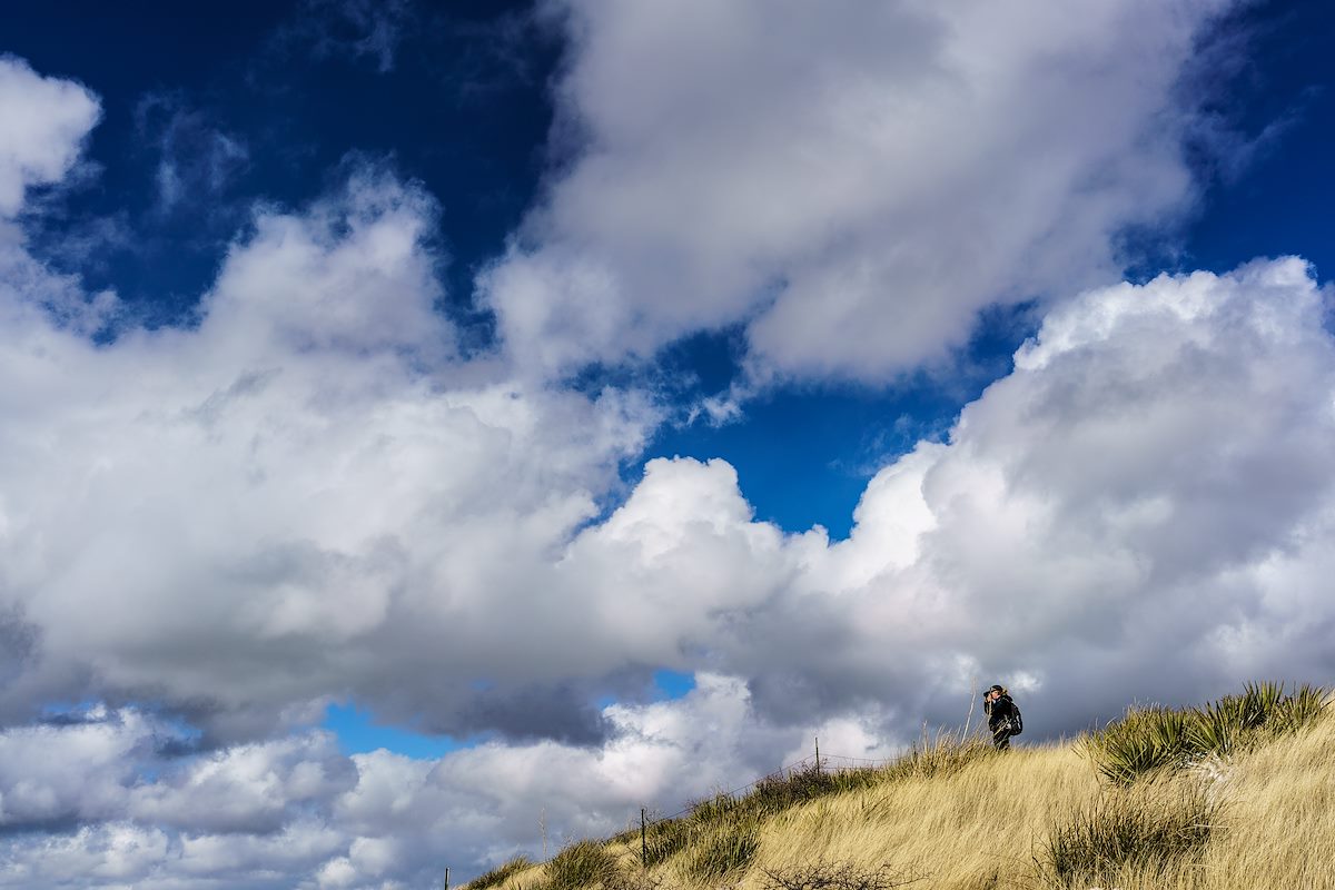 2016 December Photographer at Work