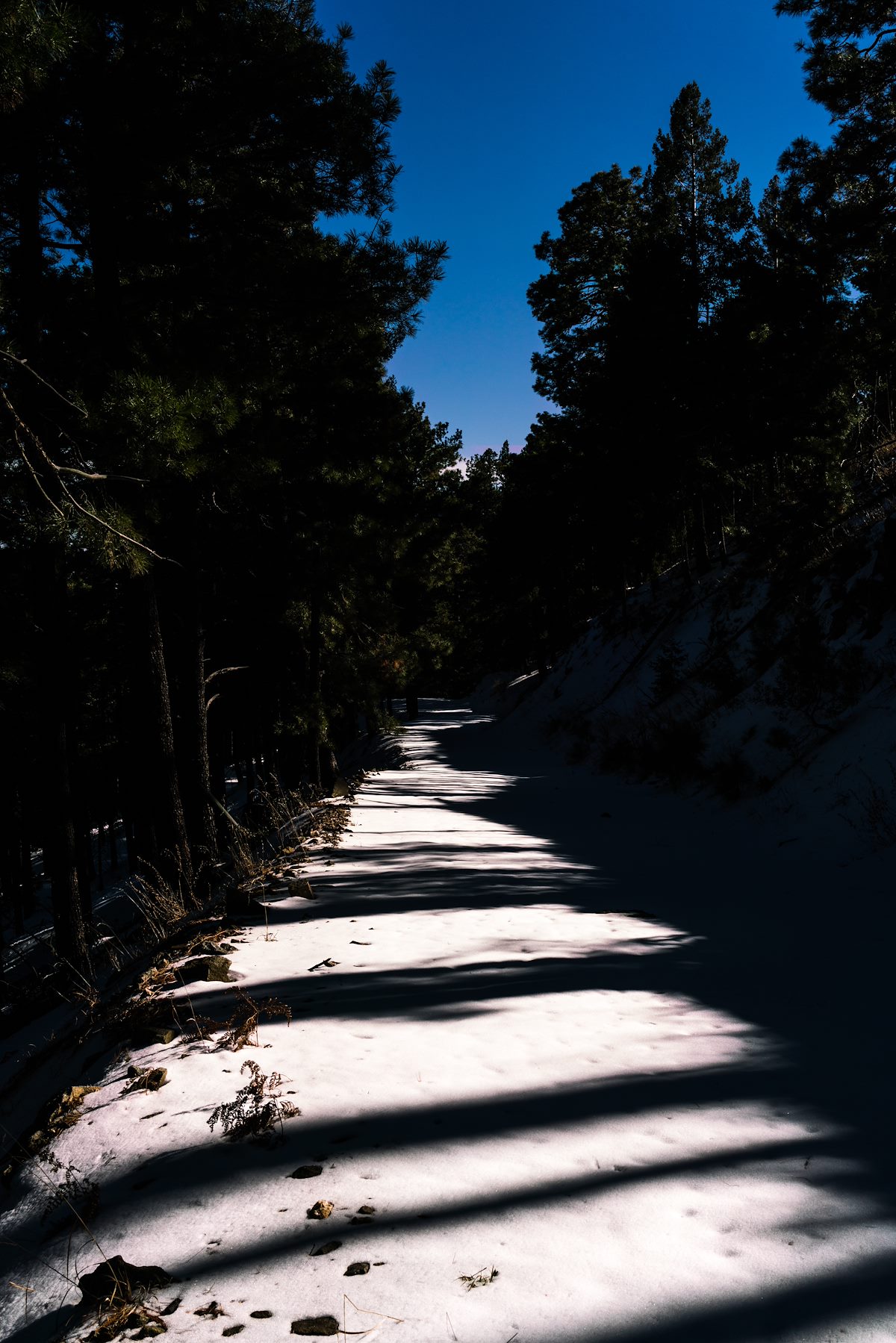 2016 December Snow and Shadows on the Control Road