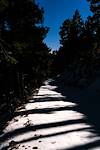 2016 December Snow and Shadows on the Control Road