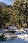 2016 December Snow at the Start of the Crystal Spring Trail off the Control Road