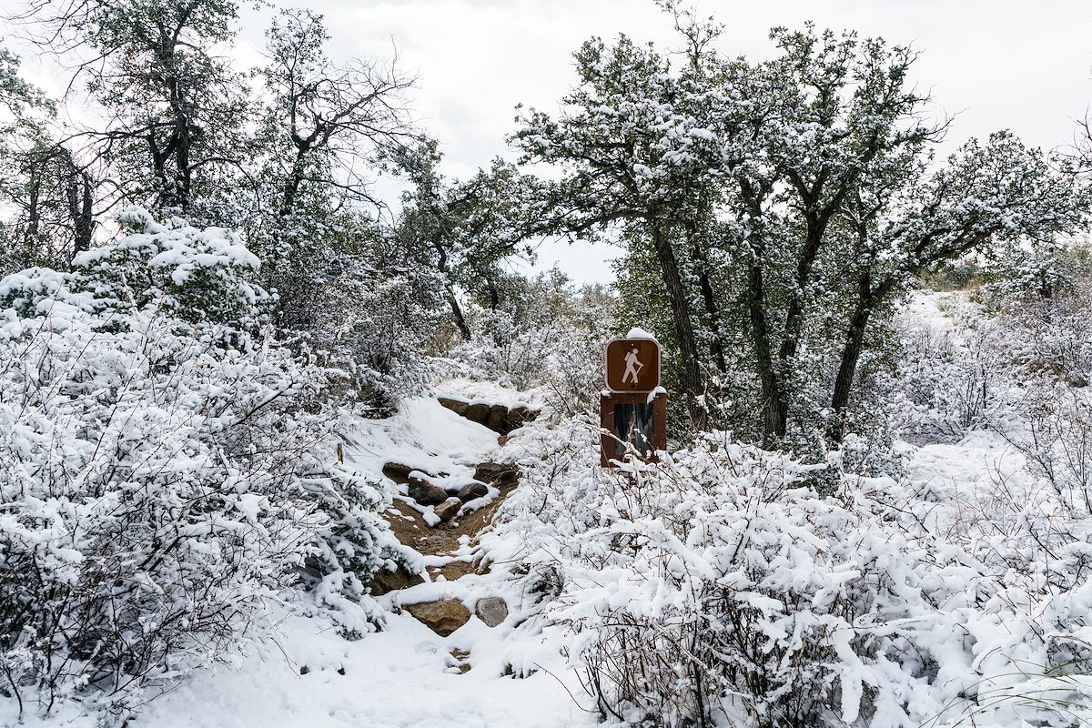 2016 December Snow Covered Lower Oracle Ridge Trailhead