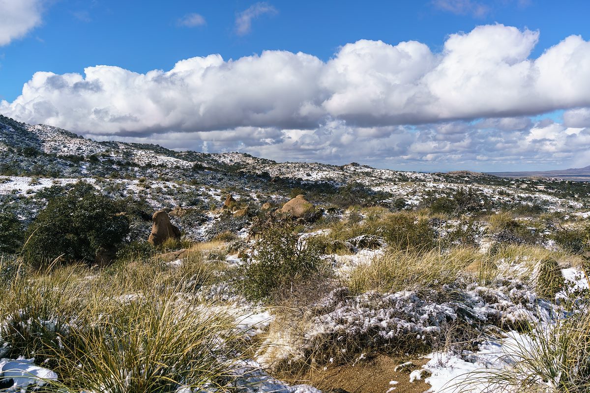 2016 December Snowy day on the Oracle Ridge Trail