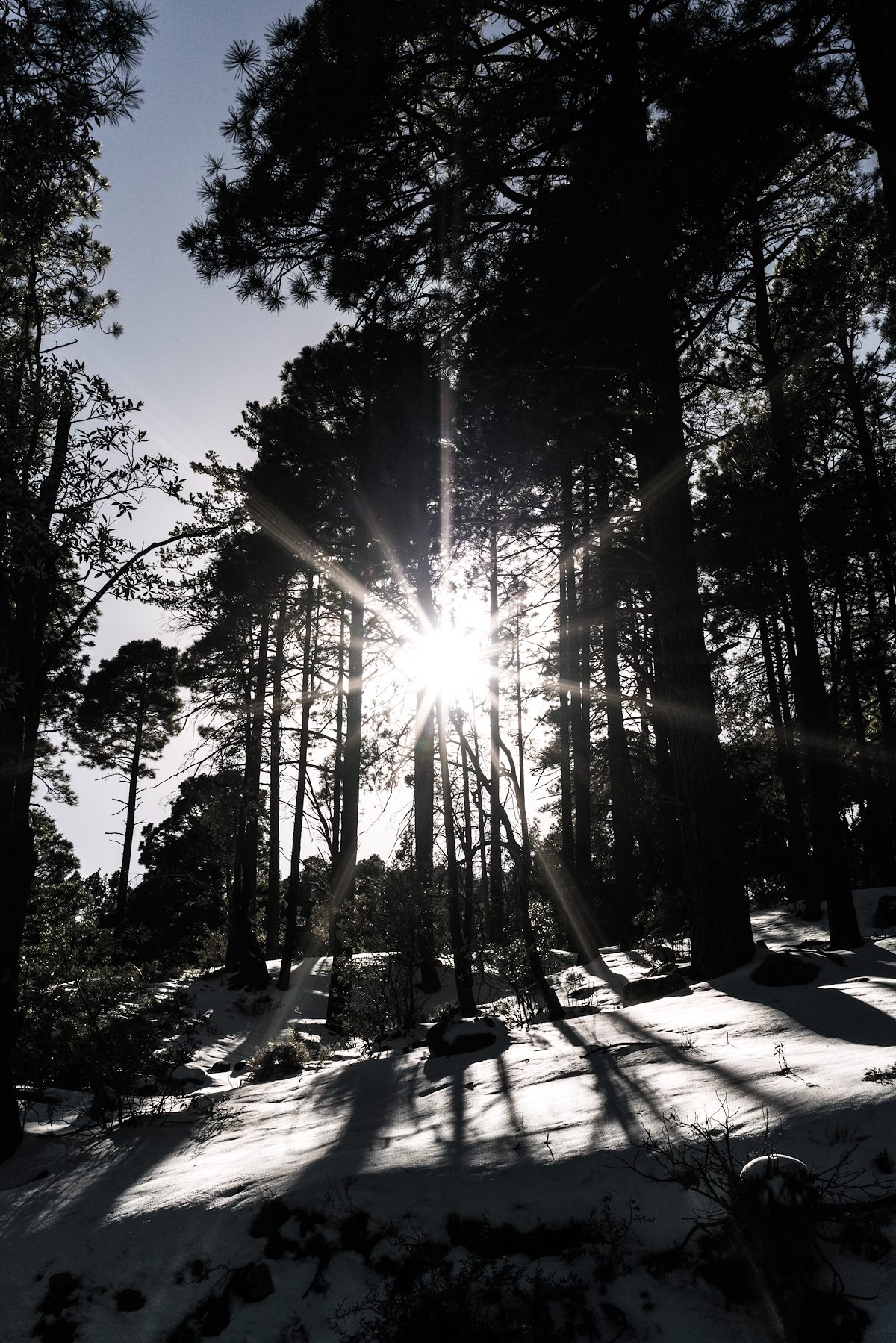 2016 December Sun and Snow