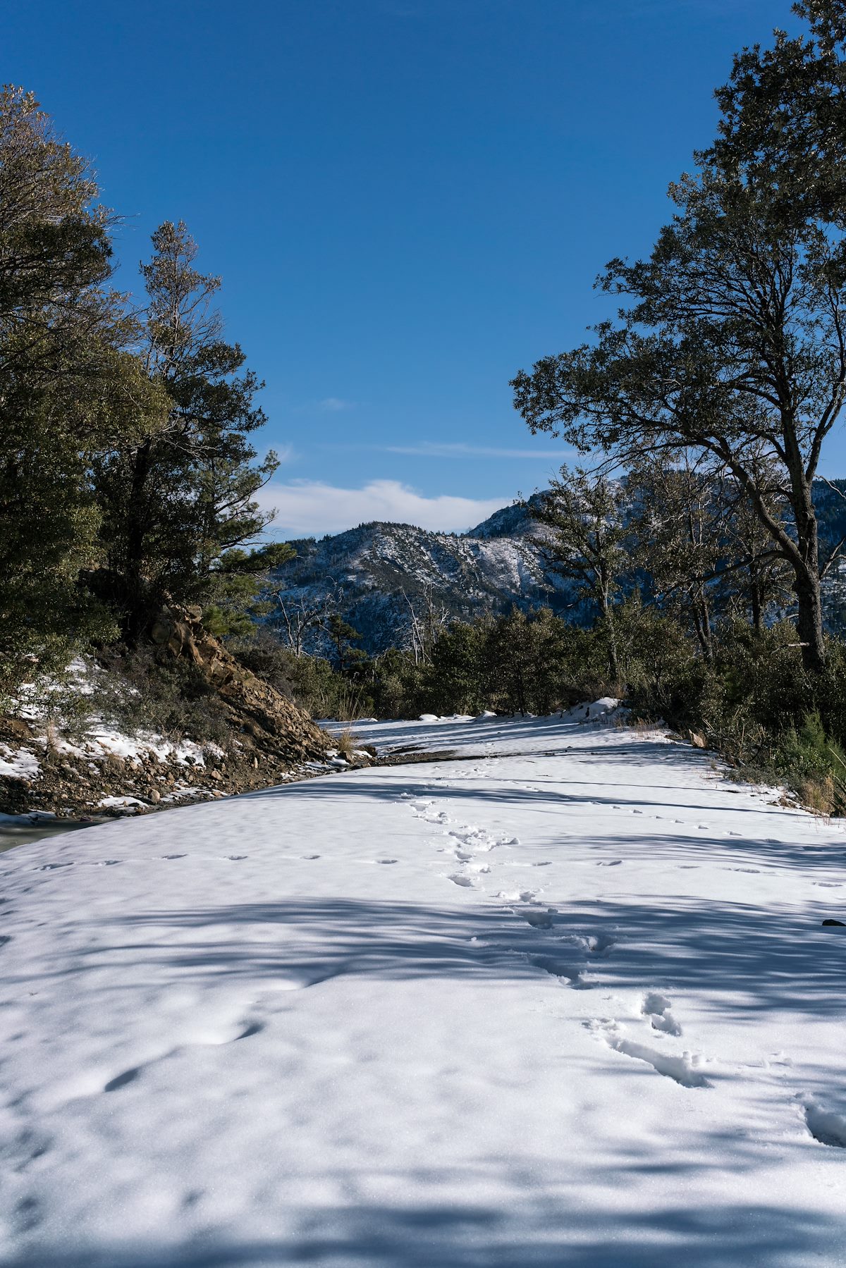 2016 December Westfall Knob from a snowy Control Road